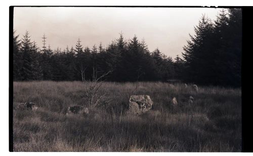 Fernworthy Stone Circle