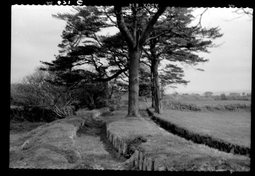 The Devonport leat at Lake Farm in Yelverton