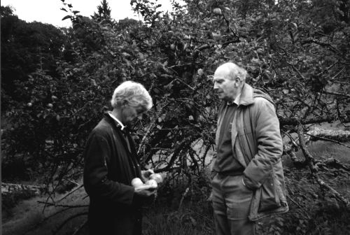 Identifying varieties of apple during Lustleigh Apple Day