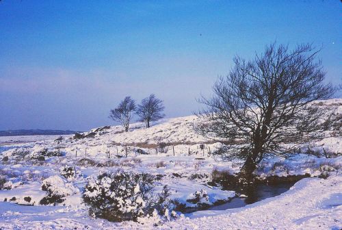 An image from the Dartmoor Trust Archive