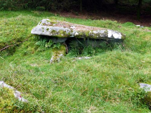 An image from the Dartmoor Trust Archive