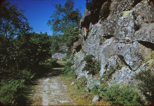 Path up to Dewerstone