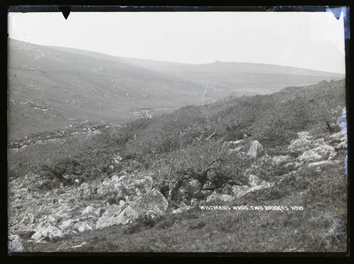 Wistman's Wood, Lydford