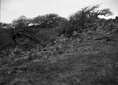 An image from the Dartmoor Trust Archive