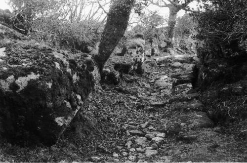 An image from the Dartmoor Trust Archive