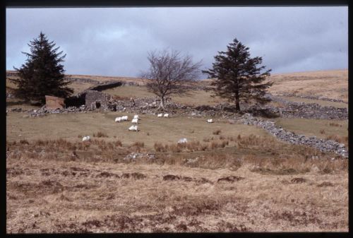 An image from the Dartmoor Trust Archive