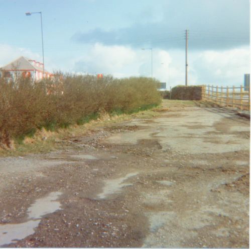 Overgrown tarmac where the Sourton Cross garage once stood