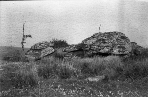 An image from the Dartmoor Trust Archive