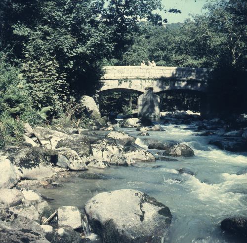 An image from the Dartmoor Trust Archive