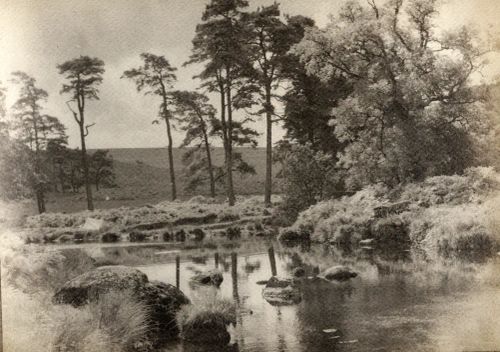 Dartmoor river