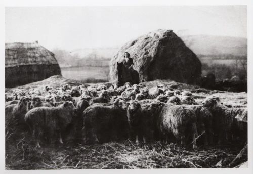 An image from the Dartmoor Trust Archive