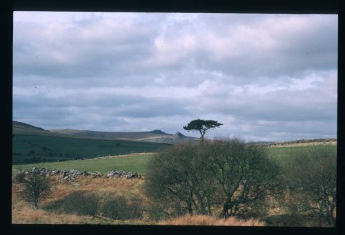 An image from the Dartmoor Trust Archive