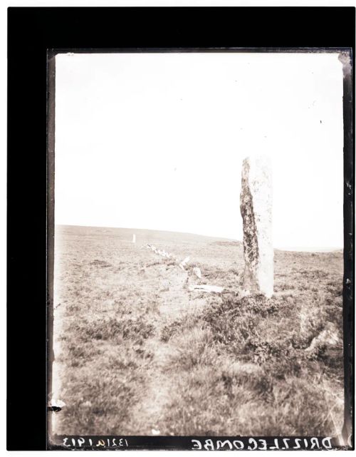 Drizzlecombe Menhir and Stone Row