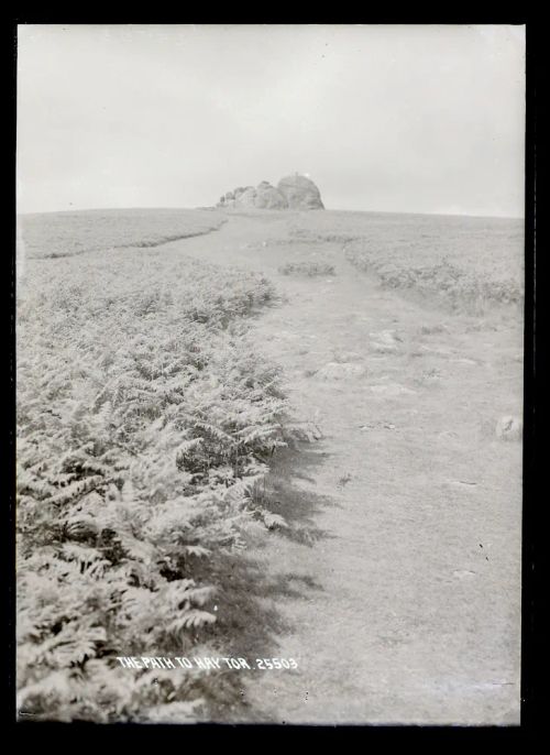 The path to Haytor, Ilsington