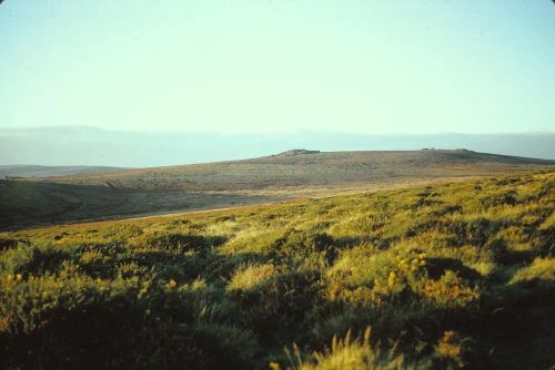 An image from the Dartmoor Trust Archive