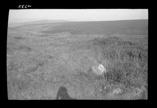 Blue jug boundary stone on Hameldown