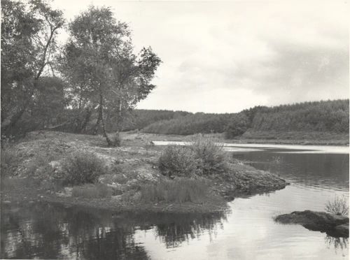 Trenchford reservoir