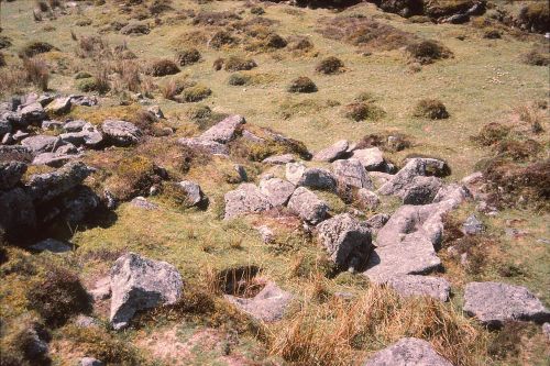 An image from the Dartmoor Trust Archive