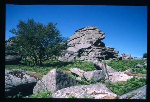 An image from the Dartmoor Trust Archive