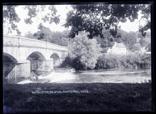 River Otter + Bridge, Newton Poppleford