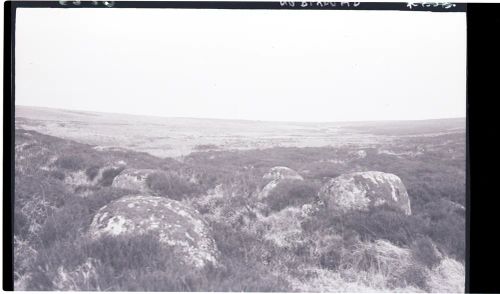 Head of the River Plym