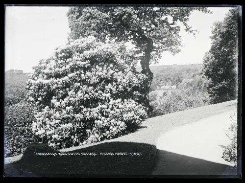 Endsleigh: gardens, Milton Abbot