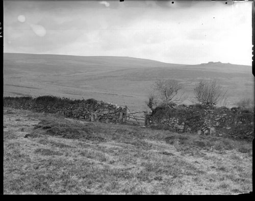 Trowlesworthy Tor from Ringmoor Down