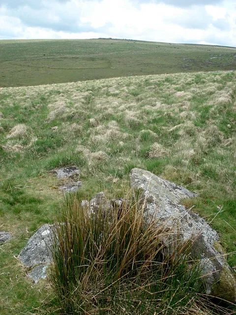 An image from the Dartmoor Trust Archive