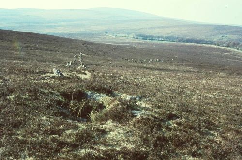 An image from the Dartmoor Trust Archive