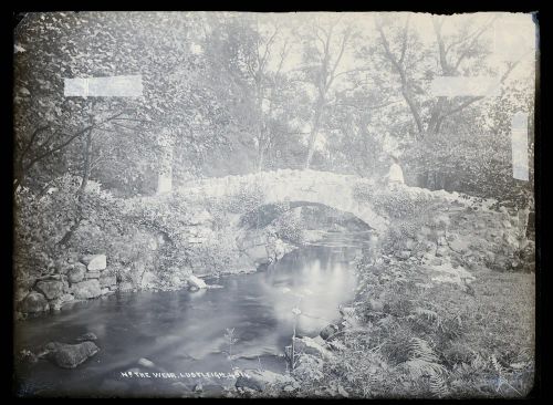 Bridge near the weir, Lustleigh