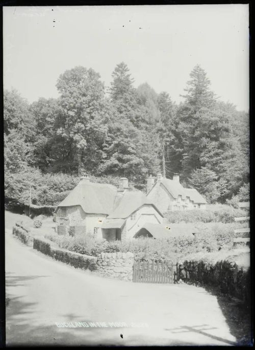 Cottages, Buckland in the Moor