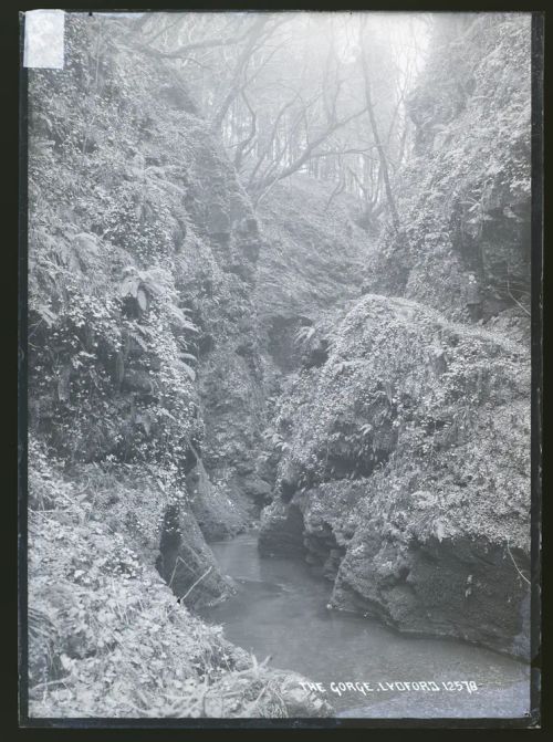 The Gorge, Lydford