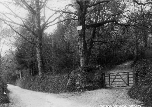 An image from the Dartmoor Trust Archive