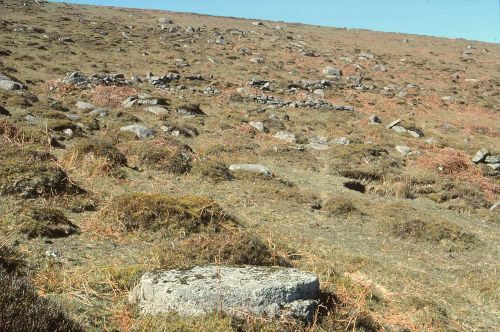 An image from the Dartmoor Trust Archive