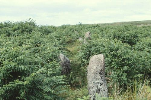 An image from the Dartmoor Trust Archive