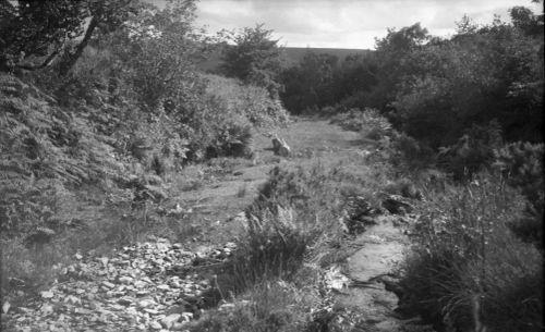 An image from the Dartmoor Trust Archive