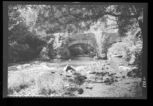 Fingle Bridge