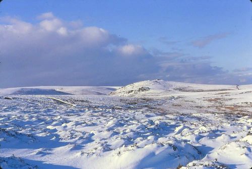 An image from the Dartmoor Trust Archive