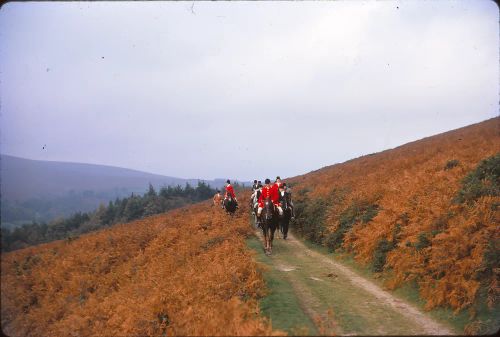 Hunt near Honeybag Tor