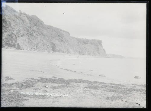 Shaldon: The Ness beach, St Nicholas