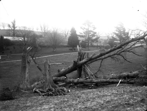 An image from the Dartmoor Trust Archive