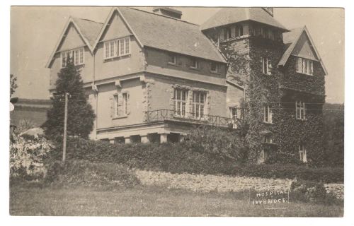 Dame Hannah Rogers school, IVYBRIDGE