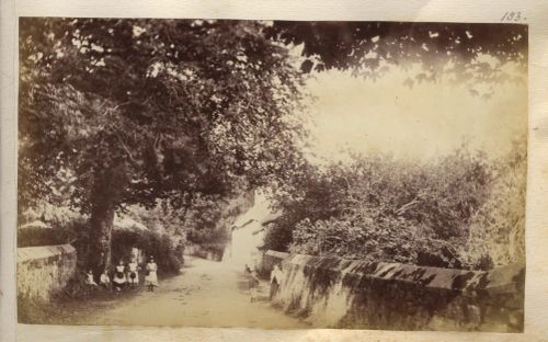 Children in a country lane