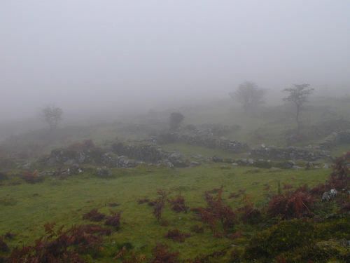 Dartmoor Fog