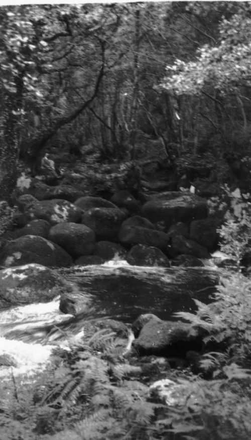 An image from the Dartmoor Trust Archive