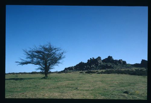 An image from the Dartmoor Trust Archive