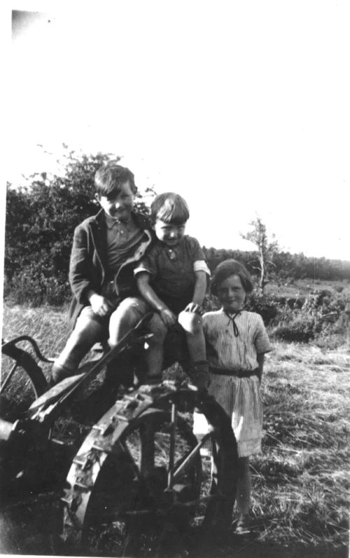 Perryman children on a grass mower at Barracott, c. 1940.