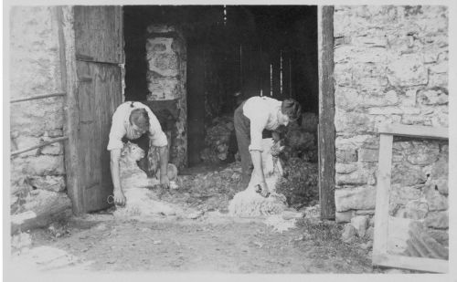 An image from the Dartmoor Trust Archive