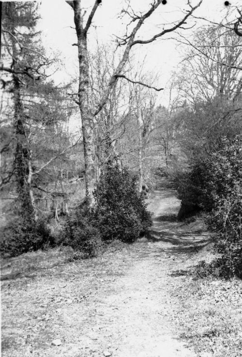 An image from the Dartmoor Trust Archive