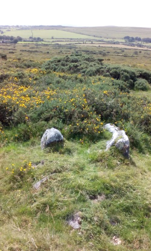 An image from the Dartmoor Trust Archive